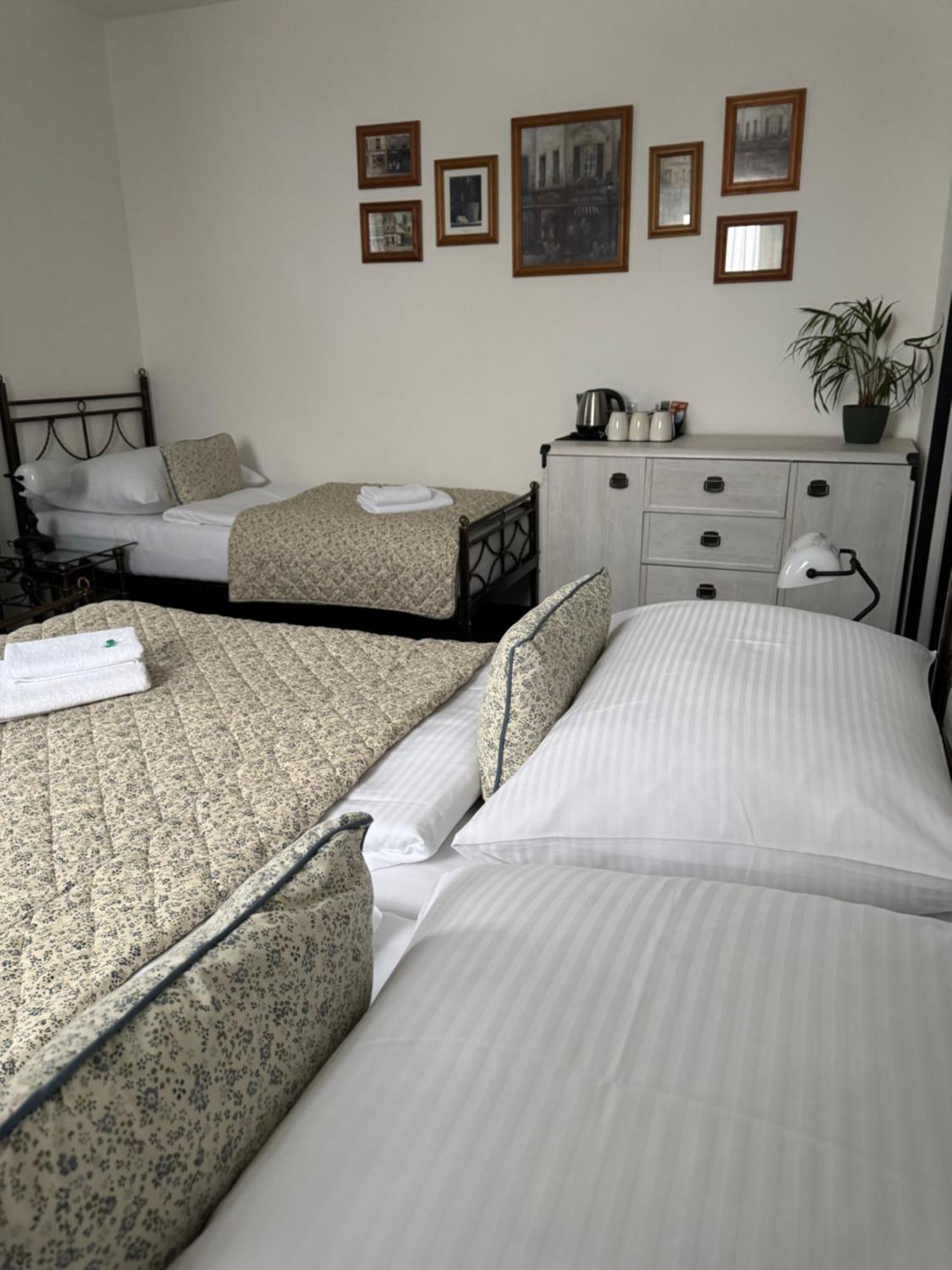 Pension U Draka Karlovy Vary Extérieur photo